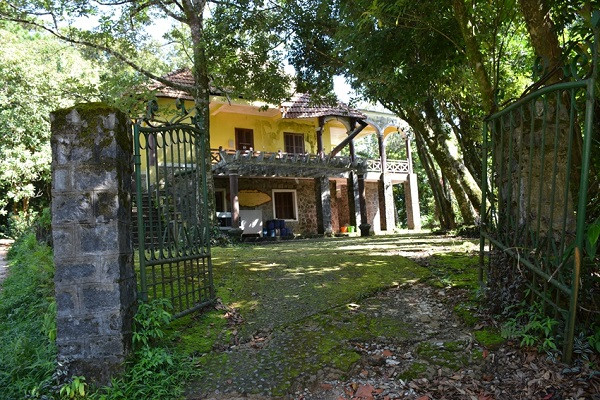 Dung de nhung dieu vun vat lam Bach Ma mat diem-Hinh-5