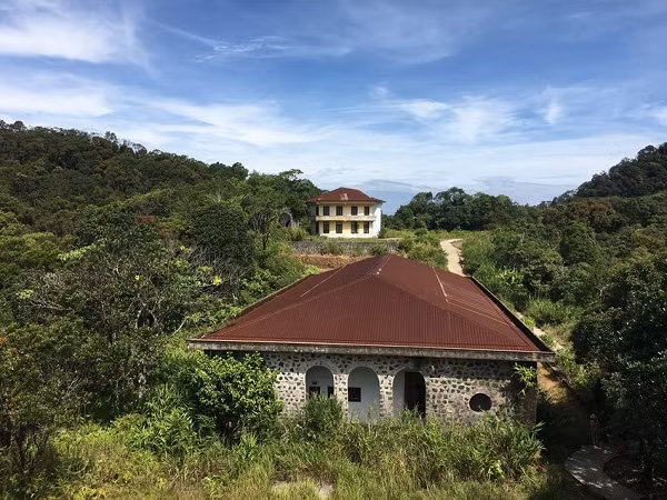 Dung de nhung dieu vun vat lam Bach Ma mat diem-Hinh-6