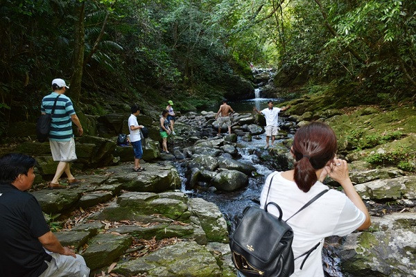 Dung de nhung dieu vun vat lam Bach Ma mat diem-Hinh-2