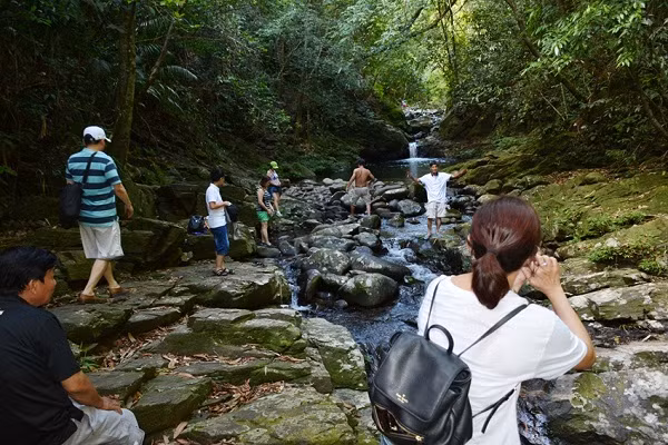 Dung de nhung dieu vun vat lam Bach Ma mat diem-Hinh-2