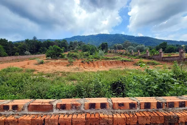 ‘Mua bán đất rừng Sóc Sơn là bất hợp pháp' - Hình 3 ‘Mua ban dat rung Soc Son la bat hop phap'-Hinh-3