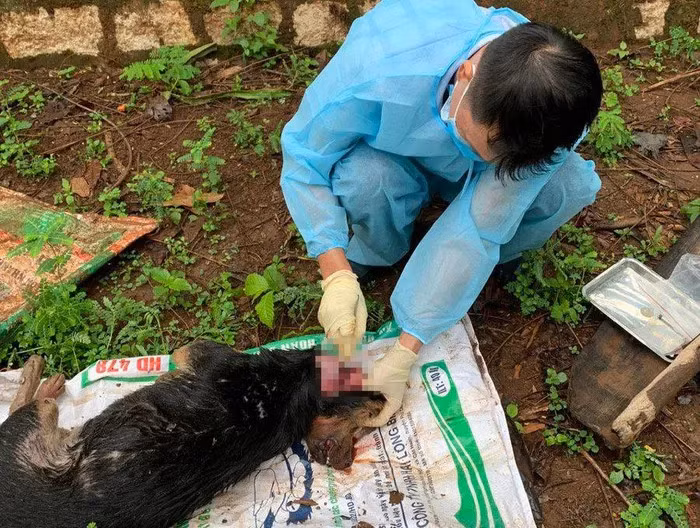 4 nguoi di duong bi cho can gay thuong tich o Dak Lak