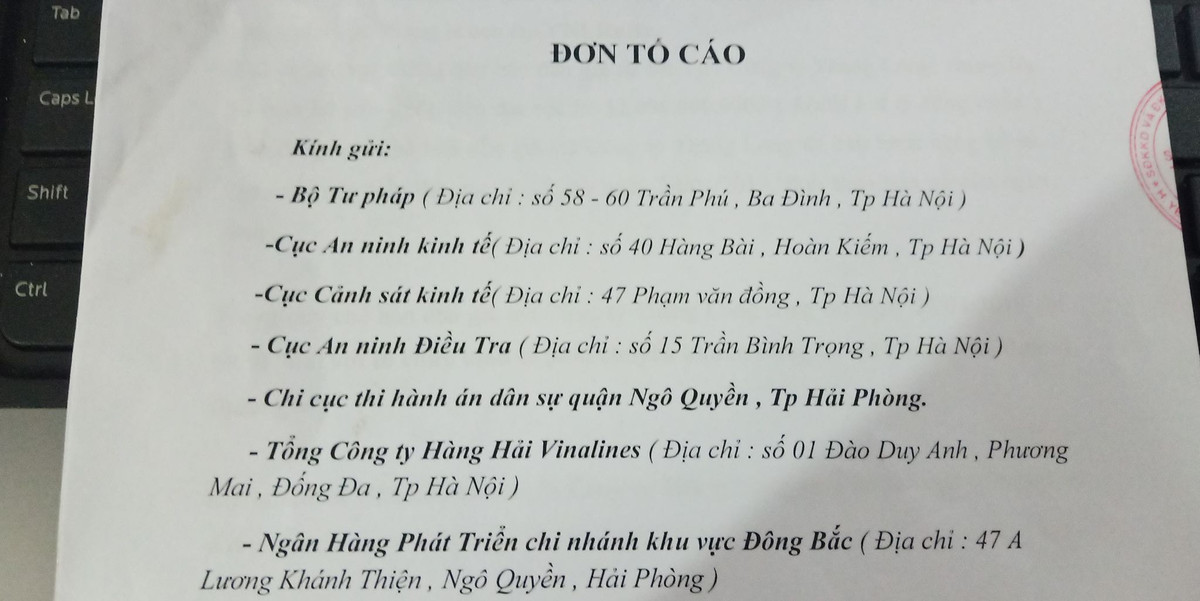 Dau gia tau Vinalines Ruby: 7 don vi dau gia, don vi thu 8 thang cuoc?-Hinh-3