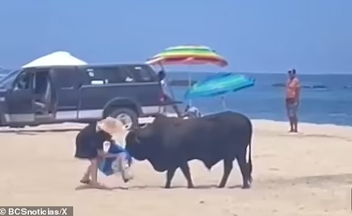 Khoanh khac kinh hai nu du khach bi bo huc tren bai bien