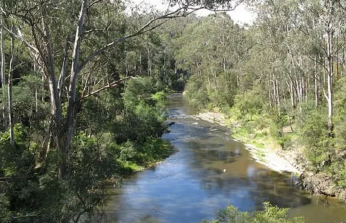 12. Sông Yarra ở Australia thu hút lượng lớn du khách và những người đam mê thể thao dưới nước mỗi năm. Tuy nhiên, trong những năm qua, nhiều trường hợp tử vong thương tâm được ghi nhận tại con sông này và dòng sông cũng bị ô nhiễm.