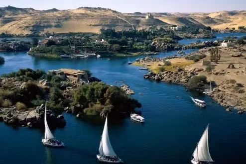 4. Sông Nile là một trong những con sông dài nhất thế giới, với chiều dài 6.853 km. Đây là nơi trú ngụ của nhiều loài vật như rắn, nhện, cá sấu nguy hiểm,...