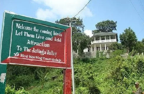 9. Tại Jatinga, Ấn Độ, trong suốt tháng 9 và tháng 10, hàng trăm con chim bay đến và chết, đặc biệt trong khoảng thời gian từ 19 giờ đến 22 giờ tối. Sự mất phương hướng do độ cao, tốc độ gió, sương mù, điều kiện thời tiết,...có thể là nguyên nhân của hiện tượng đáng sợ này.