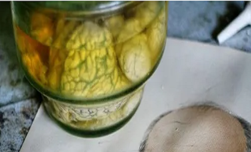 7. Phòng thí nghiệm bỏ hoang ở Nga. Quân đội Liên Xô từng vận hành phòng thí nghiệm khoa học thần kinh này ở Moscow nhưng sau đó rời bỏ nó. Các nhà khoa học thần kinh từng tiến hành nghiên cứu về bộ não của con người và động vật bên trong phòng thí nghiệm bí mật này.