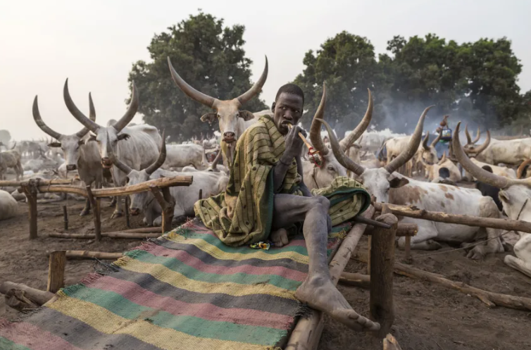 Theo CNN, bộ tộc Mundari sống bên bờ sông Nile, cuộc sống của họ tập trung vào việc chăm sóc đàn bò quý giá Ankole-Watusi. (Nguồn ảnh: CNN)