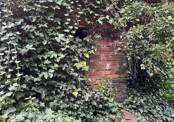 Người dân trong làng cho biết, ngôi nhà từng thuộc sở hữu của một người phụ nữ qua đời vào những năm 1980. Sau đó, hai anh em Bratton sống trong ngôi nhà này.