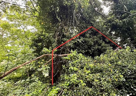 "Người phụ nữ sống ở đó đã qua đời năm 1980. Bà ấy đã thuê nó. Có hai người độc thân họ Bratton và từng đến nhà thờ. Họ được chôn cất ở khu vực sân nhà thờ", một người khác nói.