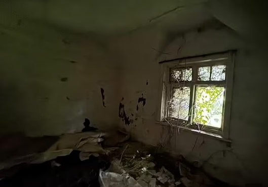 Cánh cửa sổ nhỏ bị dây leo che phủ.