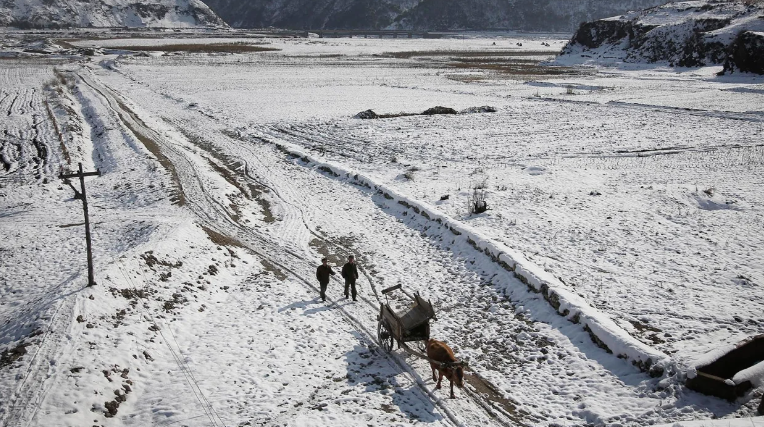 Hai người đàn ông đi bộ giữa cánh đồng phủ đầy tuyết trắng tại Kujang, Bắc Yongan, ngày 3/12/2015.