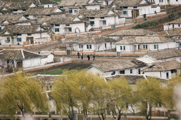 Quang cảnh hợp tác xã Migok nhìn từ một ngọn đồi cách đây nhiều năm.