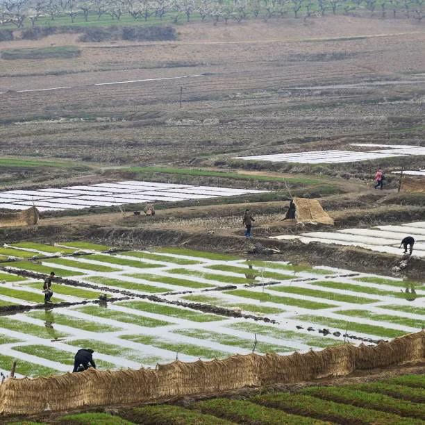 Loat anh hiem ve nong thon Trieu Tien gay ngo ngang-Hinh-3