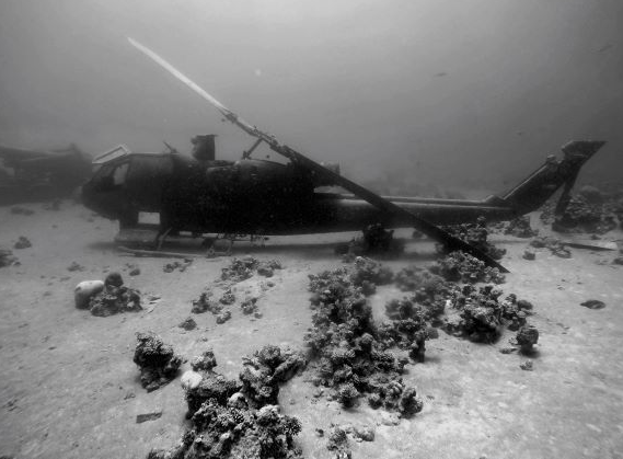 Trực thăng tấn công Bell AH-1F Cobra.