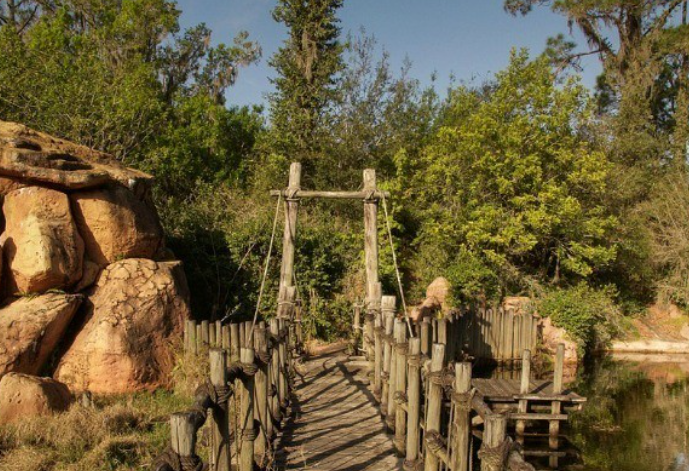 Thiên nhiên đang "xâm chiếm" công viên này.