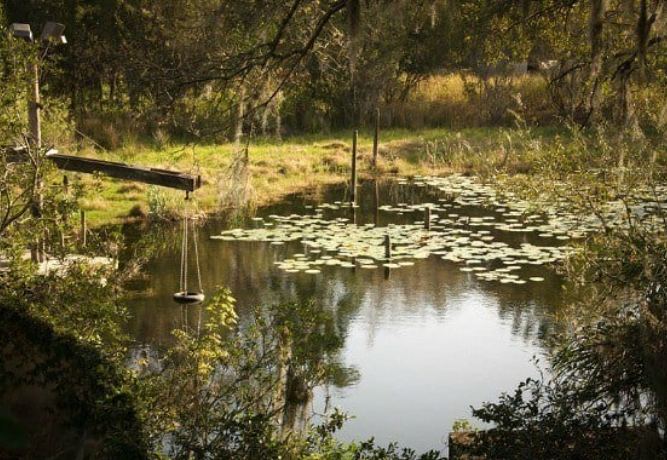 Tuy nhiên, hiện giờ, công viên này bị bỏ hoang khiến nhiều người tiếc nuối.