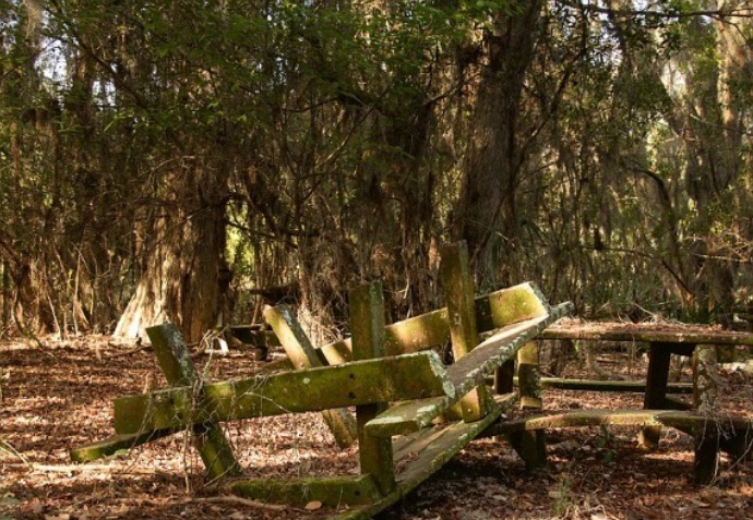 Sử dụng drone có gắn camera, nhiếp ảnh gia Seph Lawless đã ghi lại những bức ảnh độc quyền bên trong công viên bỏ hoang River Country vào năm 2016.