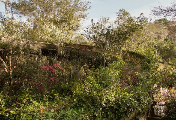 Sau khi Disney quyết định đóng cửa công viên này vào năm 2001, nhiều người từng đồn đoán về thời điểm nó sẽ hoạt động trở lại.