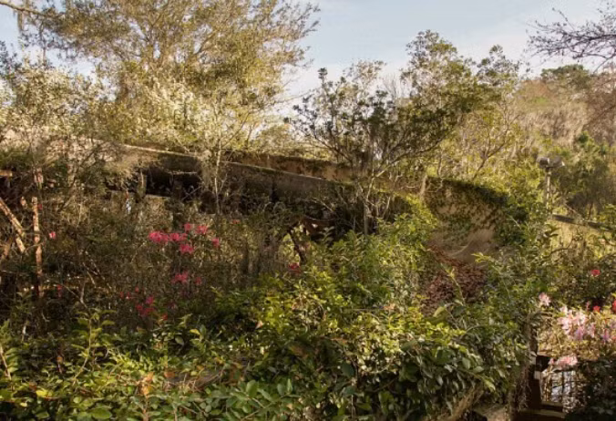 Sau khi Disney quyết định đóng cửa công viên này vào năm 2001, nhiều người từng đồn đoán về thời điểm nó sẽ hoạt động trở lại.