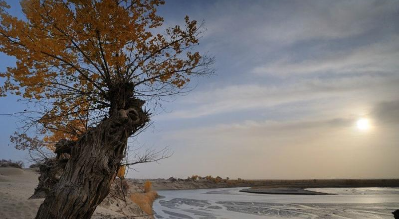Ngôi làng nguyên thủy này được bao quanh bởi hàng trăm km sa mạc và không có đường.