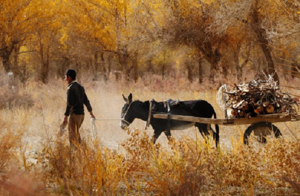 Với phong cảnh sa mạc ấn tượng cùng truyền thống văn hóa, phong tục của người dân địa phương, làng Darya Boyi ngày nay thu hút khá nhiều du khách thích khám phá trên khắp thế giới.