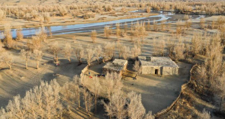 Bên cạnh xe máy, ô tô, lạc đà là vẫn là phương tiện di chuyển của dân làng.