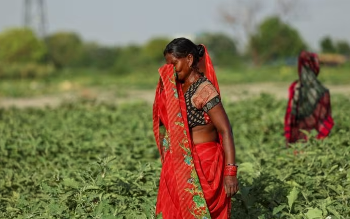 Nang nong kinh hoang o An Do, hang chuc nguoi tu vong