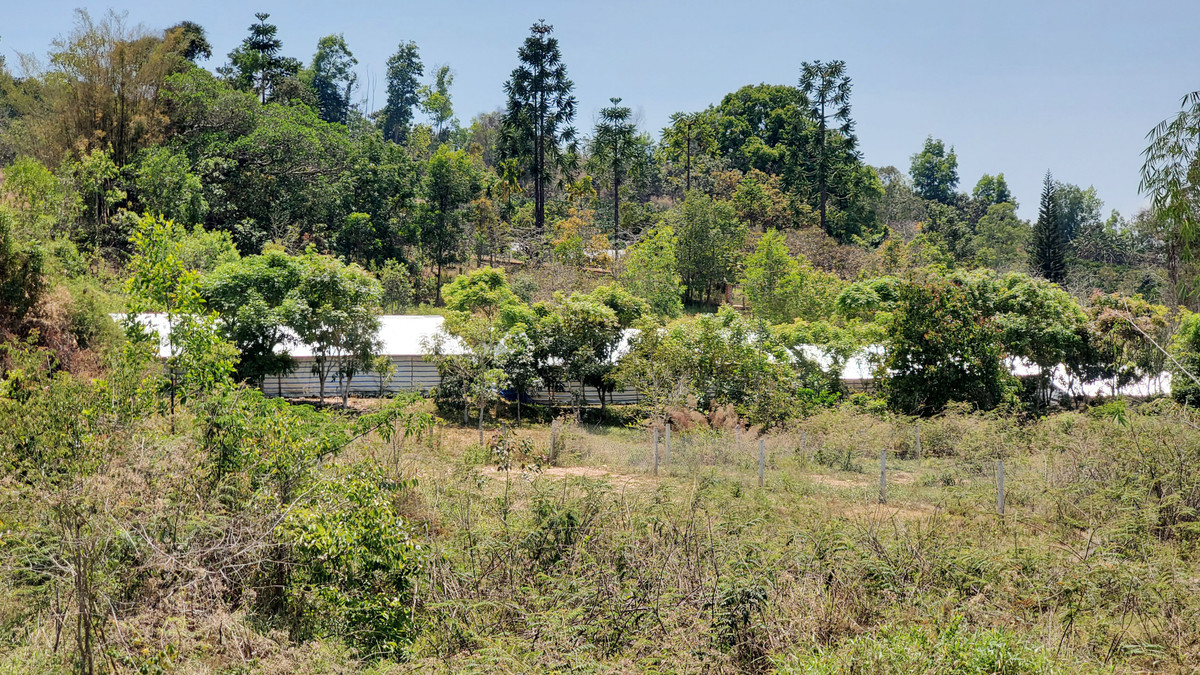 Lam Dong: Khi du an Dai Ninh thanh dai an-Hinh-4