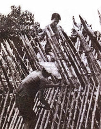 Bắt dân rào ấp để đề phòng Quân Giải phóng xâm nhập.