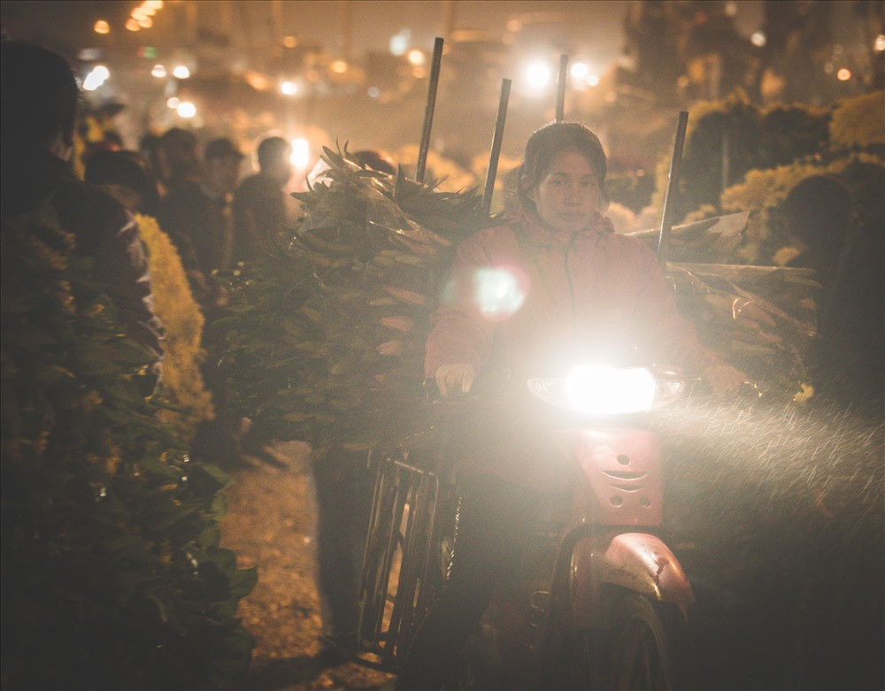 Trải nghiệm một đêm không ngủ ở chợ hoa Quảng Bá mới thấy được nét đẹp rất khác của một góc Hà Nội về đêm, thấy được nỗi vất vả của những người lao động mưu sinh trong đêm đậm sương của những ngày giáp Tết. Hà Nội: Chợ hoa 500 tuổi rộn ràng đón Tết. (Nguồn: VTC1)