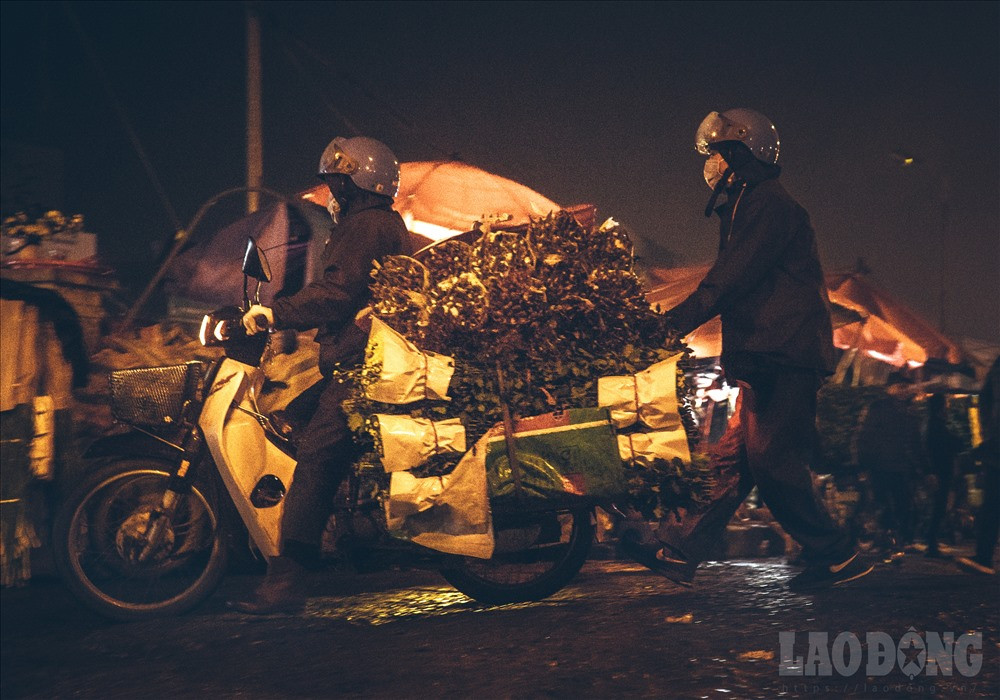 Cứ từ 23h trở đi, nơi đây luôn tấp nập xe to xe nhỏ từ khắp các vùng lân cận đổ về.