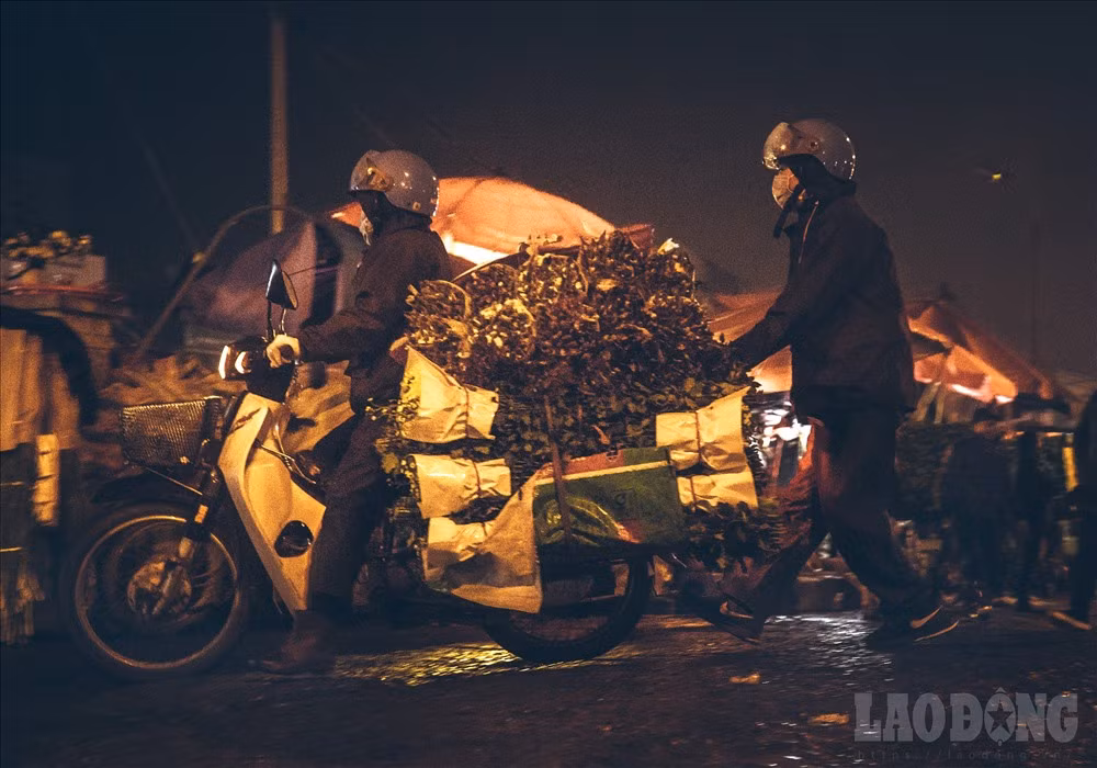 Cứ từ 23h trở đi, nơi đây luôn tấp nập xe to xe nhỏ từ khắp các vùng lân cận đổ về.