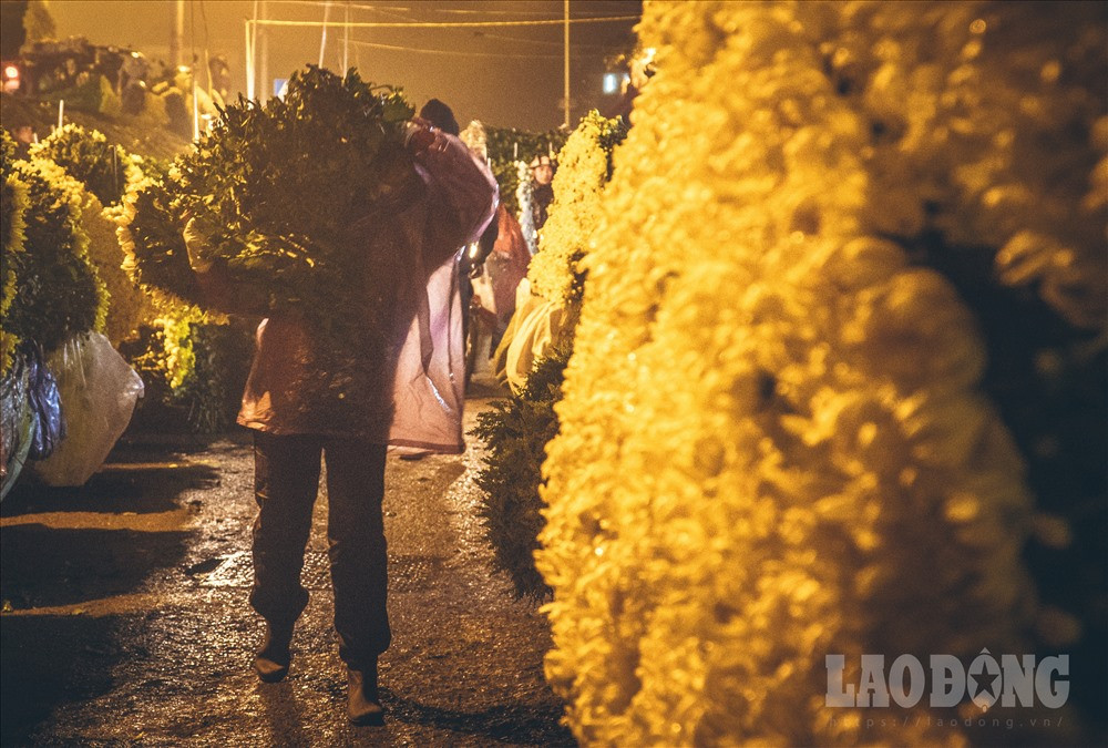 Cuộc sống mưu sinh vất vả của những người bán hoa khi mặt trời còn chưa ló rạng.