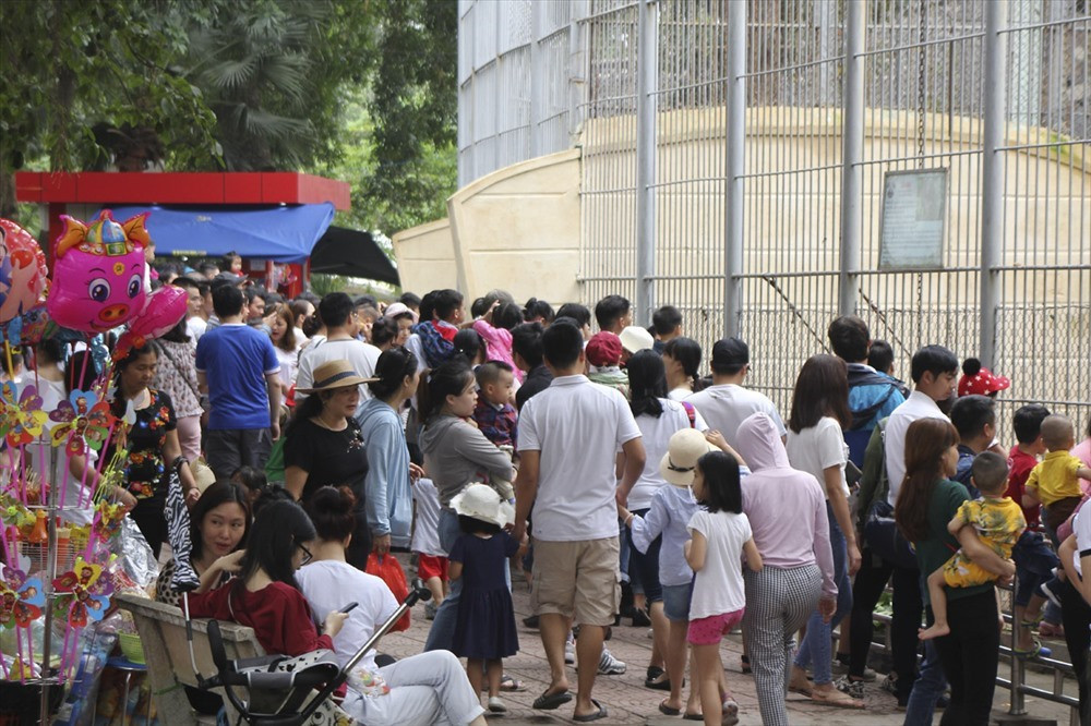 Việc được trực tiếp quan sát các loài động vật khiến nhiều người thích thú đặc biệt là các em nhỏ. Ảnh: LDO.