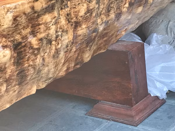 Choang voi chiec sap lam tu go quy nang 5 tan, gia hang ty dong o Ha Noi-Hinh-4