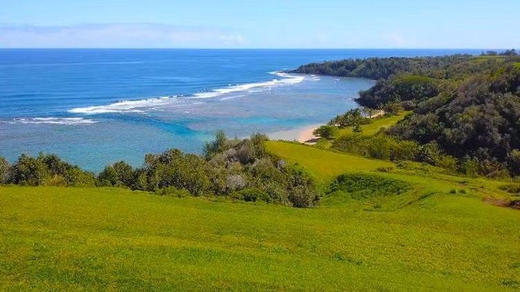 Năm 2017, vị tỷ phú công nghệ này mua thêm 36 ha đất ở quần đảo Hawaii với giá hơn 45 triệu USD. Ảnh: Trulia.