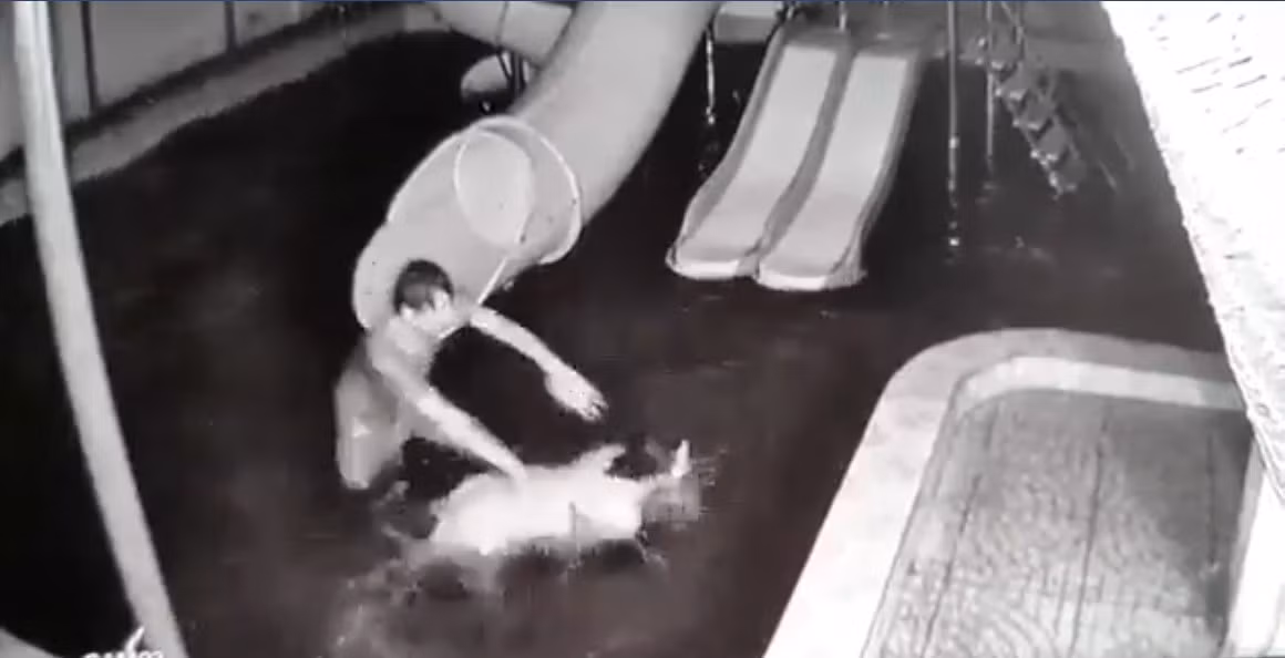 Sau khi bị chồng đánh, chị M. đã đi khám tại bệnh viện, theo kết quả giám định ban đầu chị M. bị thương tích 5%. Sau đó, chị M. đã viết đơn tố hành vi của chồng. (Ảnh: Nld)