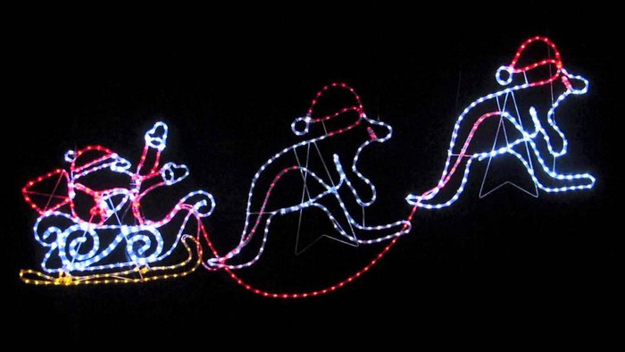 Kangaroo kéo xe trượt tuyết: Thay vì những con tuần lộc ở xứ tuyết trắng, tại Australia, xe trượt tuyết của ông già Noel được kéo bởi 8 con kangaroo, loài vật đặc trưng kiêm biểu tượng của đất nước. Ảnh: AP.