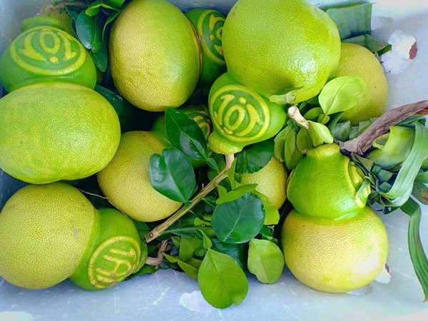 Hon trieu dong 1 qua buoi “la”, khach tranh nhau dat mua de tho dip Tet-Hinh-2