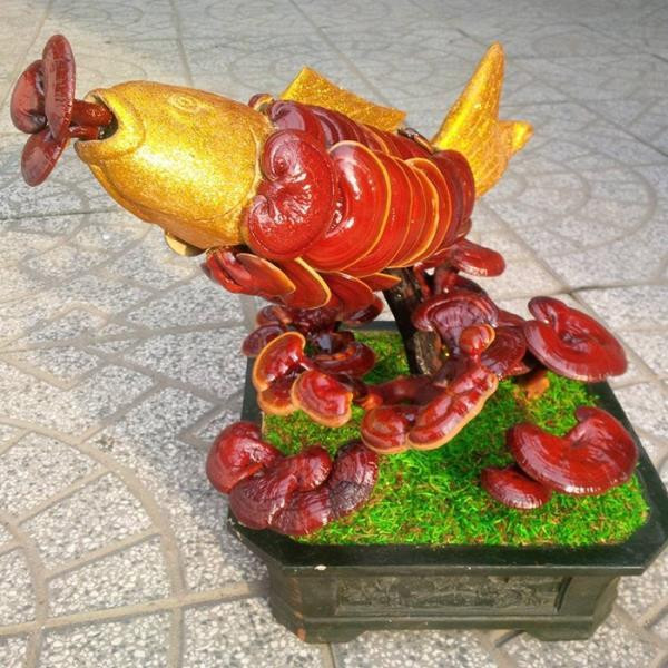 Su that rung minh dac san bao ngu, vi ca ban day cho mang-Hinh-3