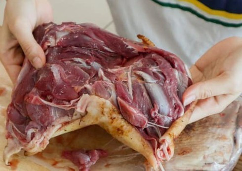 Su that rung minh dac san bao ngu, vi ca ban day cho mang