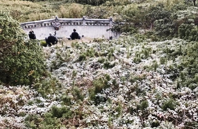 Theo đó, tại khu vực cáp treo trên đỉnh Fansipan, nhiệt độ giảm xuống dưới 0 độ C. Do nhiệt độ giảm thấp, hơi nước trong lớp không khí sát mặt đất gặp lạnh đã ngưng tụ lại tạo thành sương muối, phủ trắng xóa mặt đất.