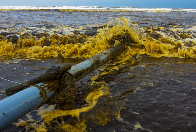Tim ra nguyen nhan khien nuoc bien doi mau ca phe o Quang Ngai