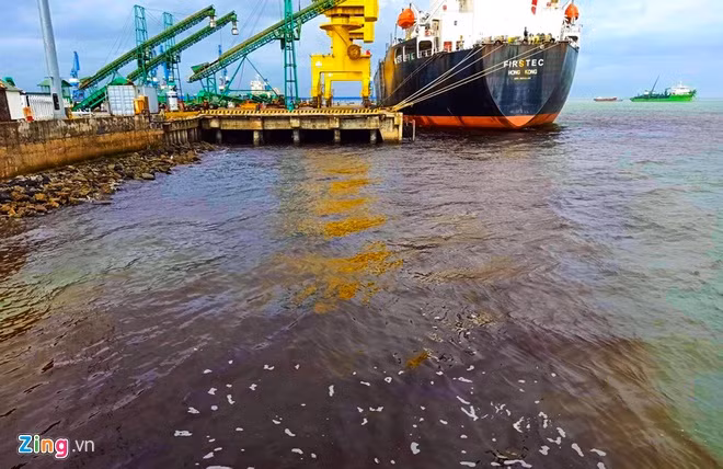 Tim ra nguyen nhan khien nuoc bien doi mau ca phe o Quang Ngai-Hinh-2