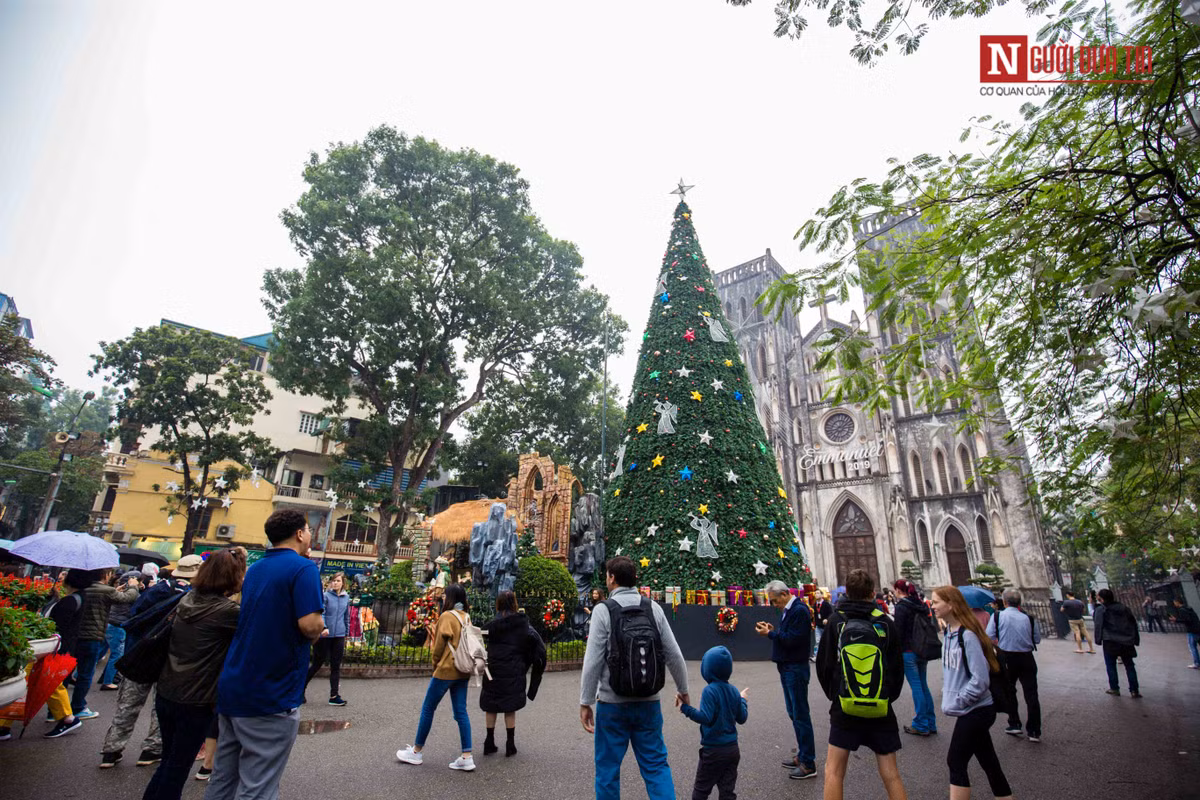 Tại Nhà thờ lớn (Hà Nội), cây thông Noel khổng lồ thu hút sự chú ý đặc biệt của người dân và du khách.