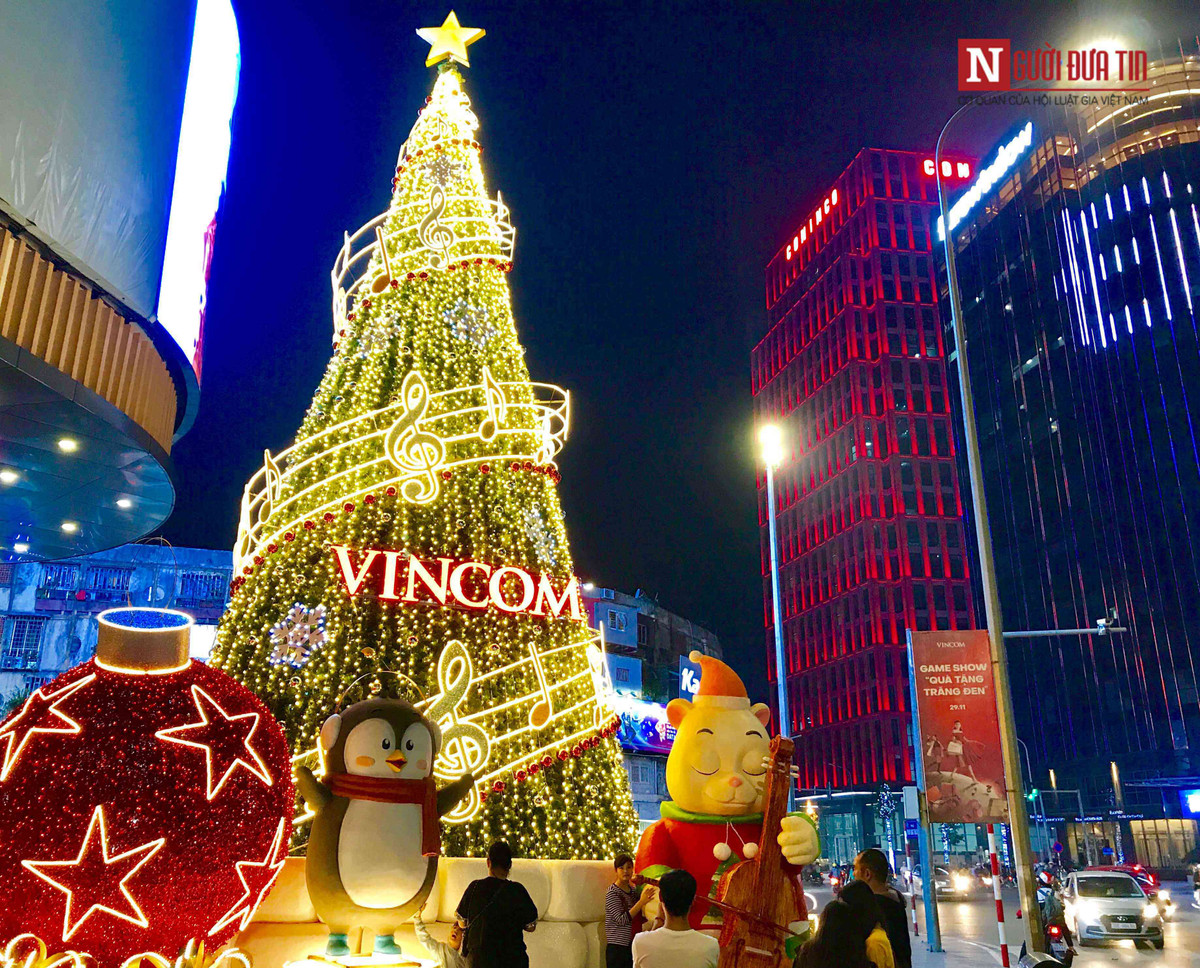 Khi những ánh đèn được được thắp lên cũng chính là lúc những cây thông Noel được khoác lên mình một tấm áo rực rỡ mừng Giáng sinh đang đến.