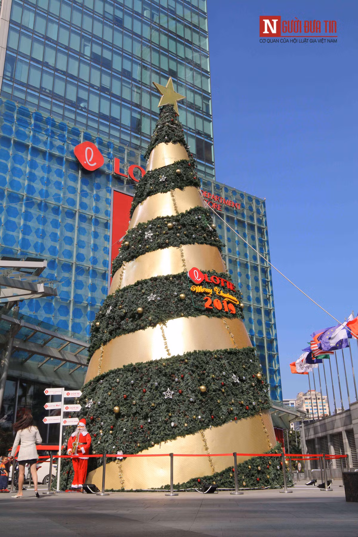 Những cây thông khổng lồ mất từ 7 đến 10 ngày để dựng lên.