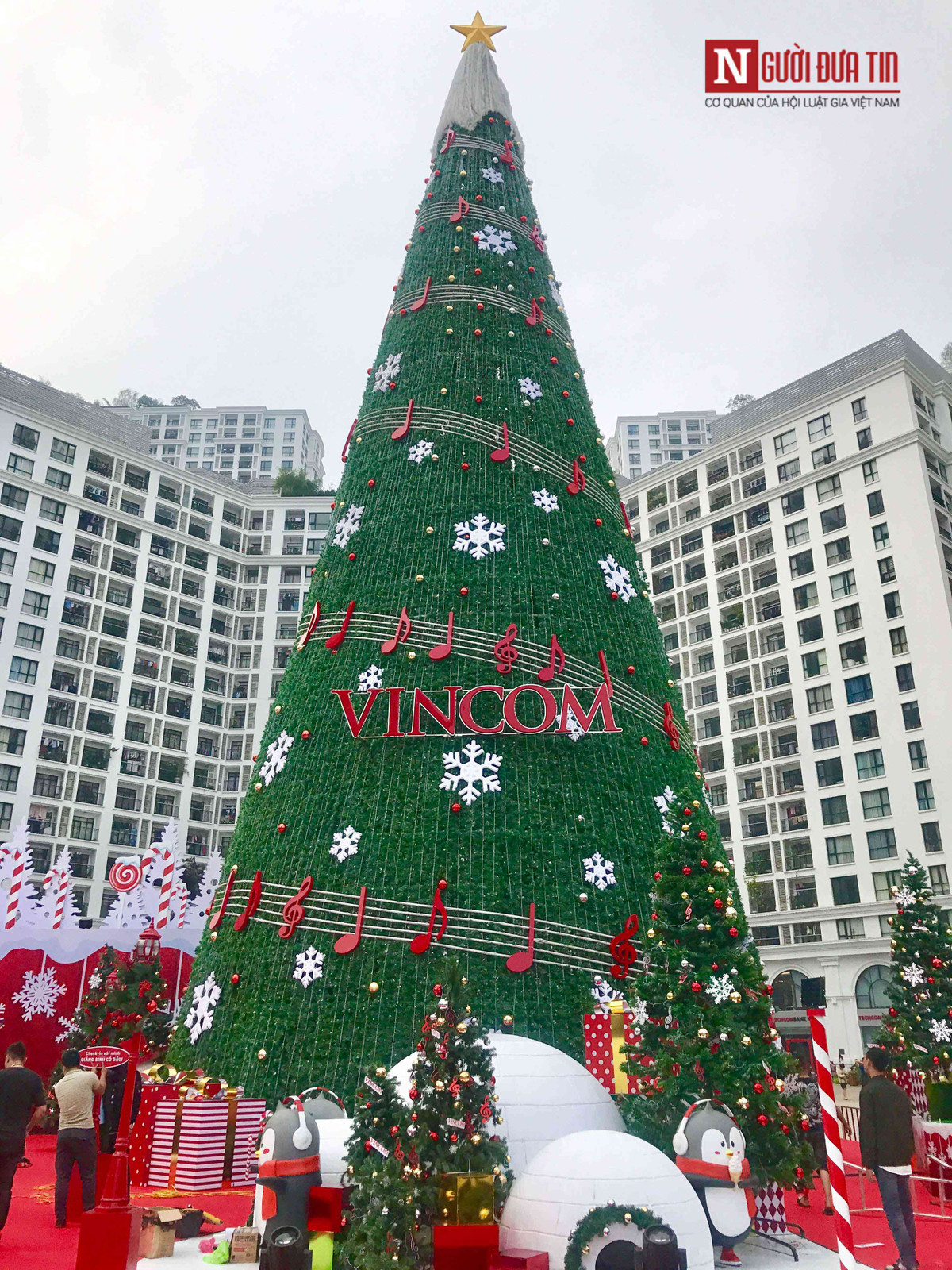 Cây thông được trang trí rất nhiều màu sắc tạo ấn tượng cho người dân thoải mái chiêm ngưỡng.